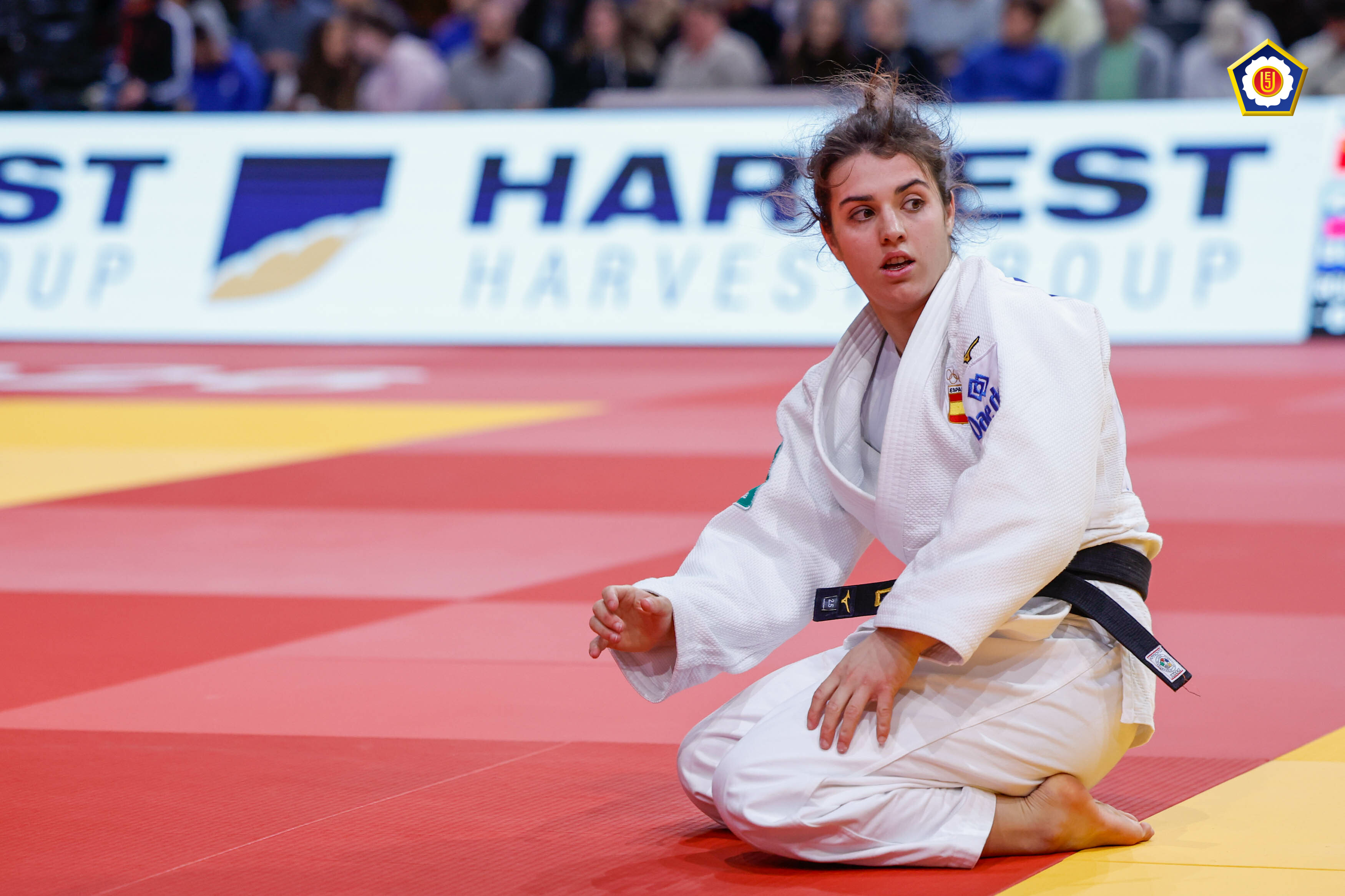 ARIANE TORO, EN EL CAMPEONATO DE EUROPA DE JUDO ABSOLUTO. 16-04-26